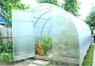 greenhouse