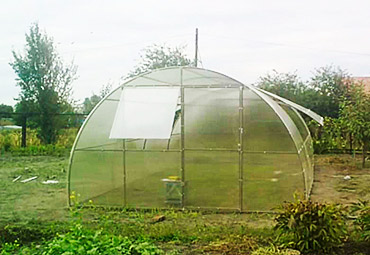 greenhouse